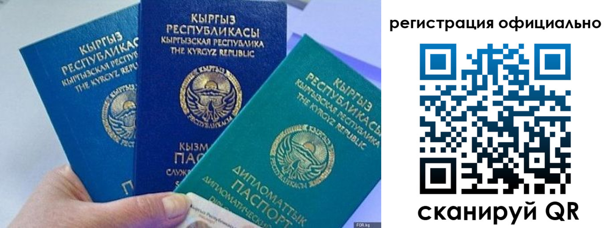 прописка в Мариинском Посаде